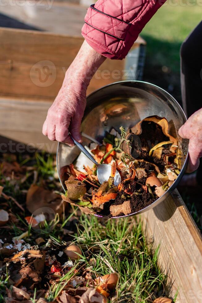 Person who put in a composter some kitchen waste like vegetables, fruits, eggshell, coffee grounds in order to sort and make bio fertilizer photo