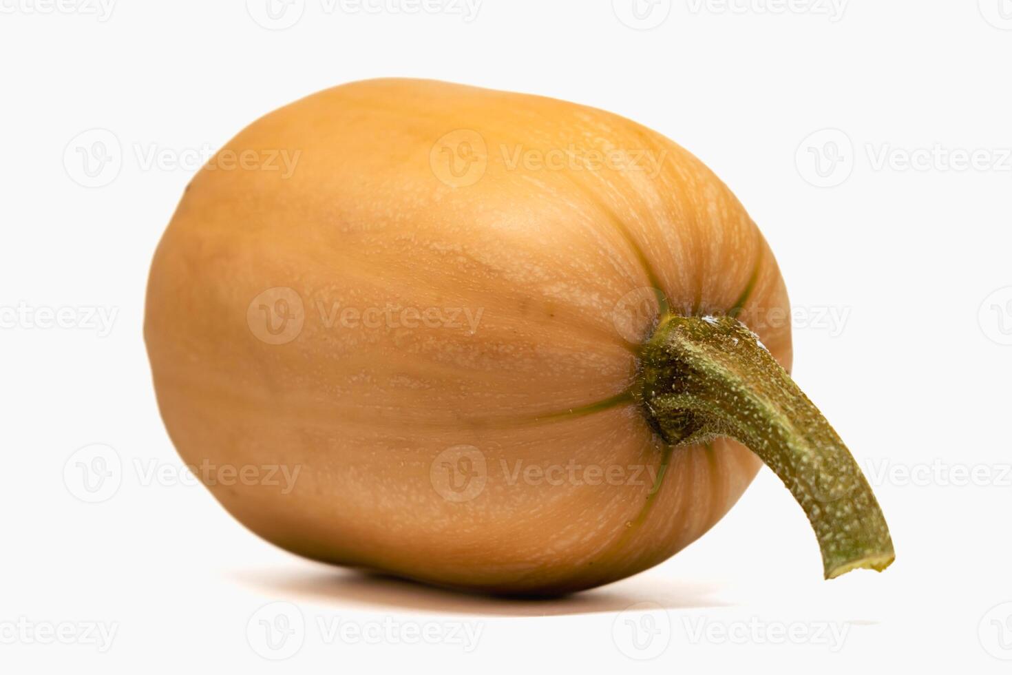 Butternut, healthy squash on white background, cucurbita moschata photo