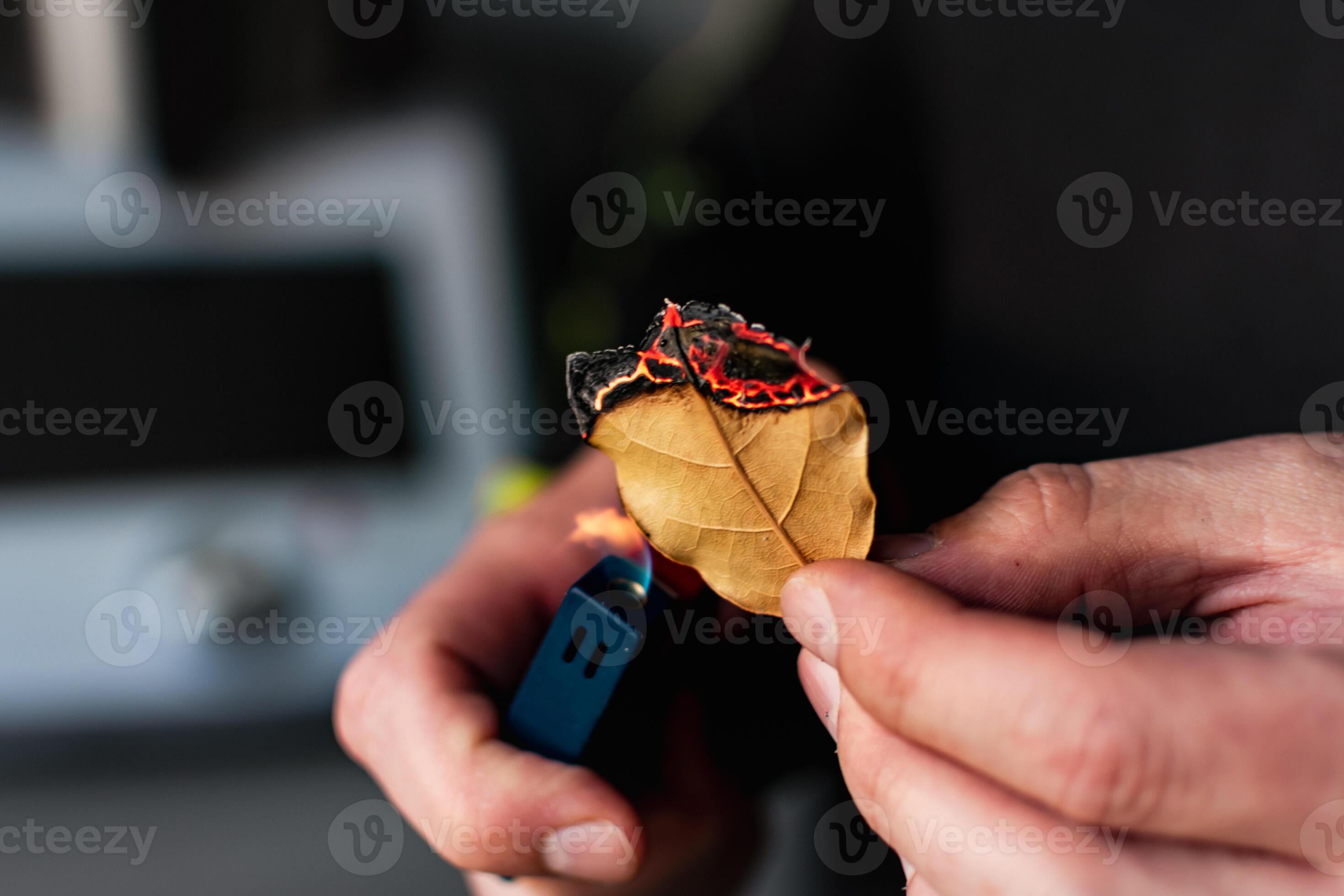 Person who burn bay leaves to bring serenity, reduce anxiety, relieve headaches and fatigue and