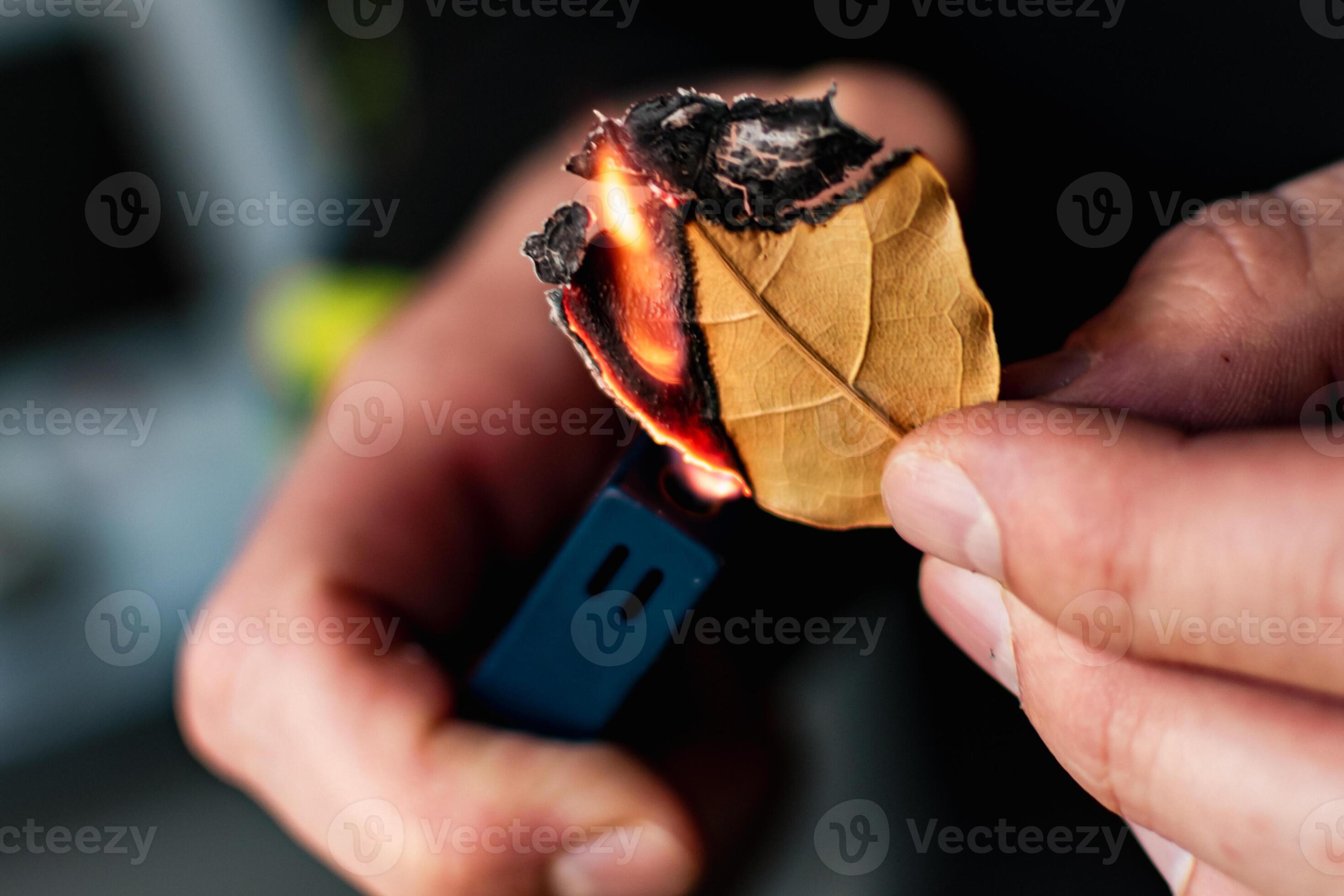 Person who burn bay leaves to bring serenity, reduce anxiety, relieve headaches and fatigue and