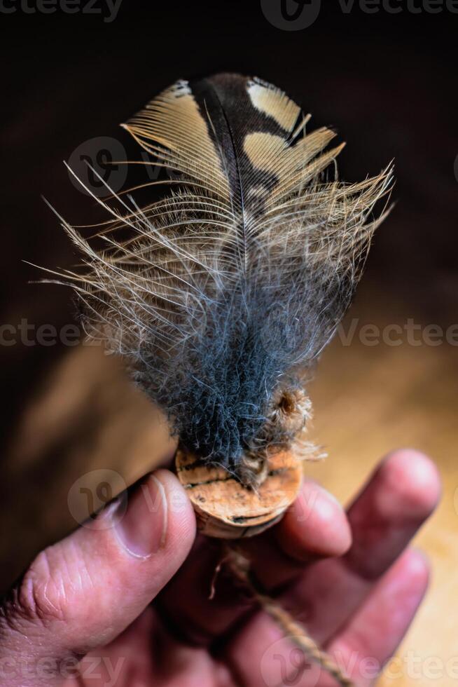 Eurasian eagle owl feather, bubo bubo photo