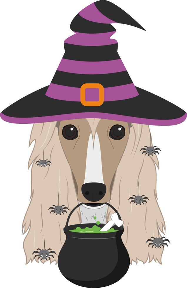 Halloween greeting card. Afghan Hound dog dressed as a witch with black and purple hat, a cauldry in the mouth and spiders falling from the hair vector