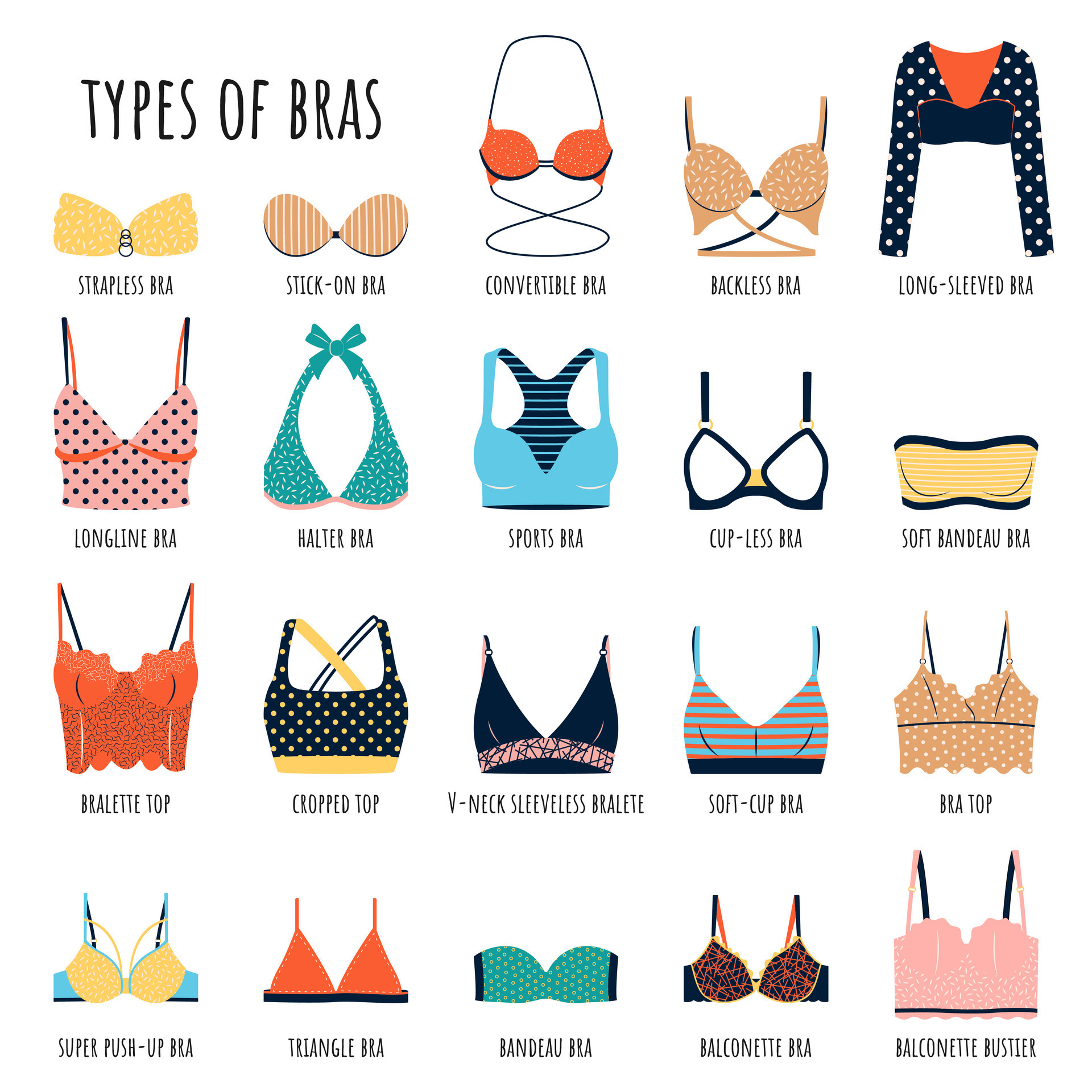 Types of bras. Big vector bundle of lingerie. Set of underwear