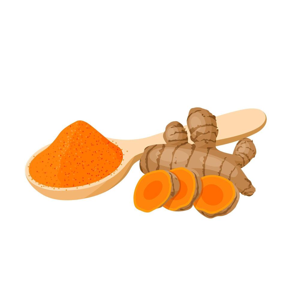 Vector illustration, turmeric powder, with turmeric rhizome or Curcuma longa, isolated on white background.