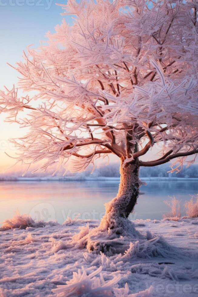 invierno paisaje mostrando incrustado de hielo árbol ramas brillante debajo el rígido escarchado luz de sol foto