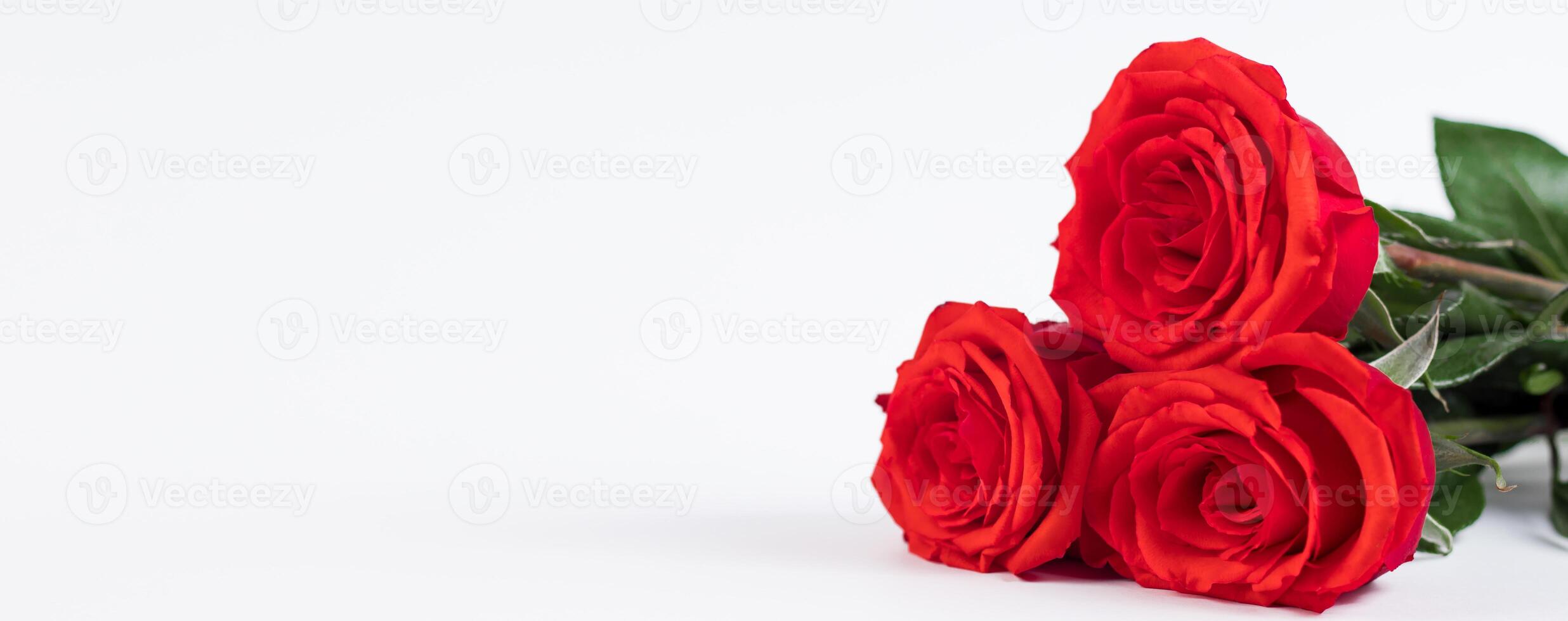 Bouquet of red roses and hearts on a white background. Valentine's day February 14. Place for your text. photo
