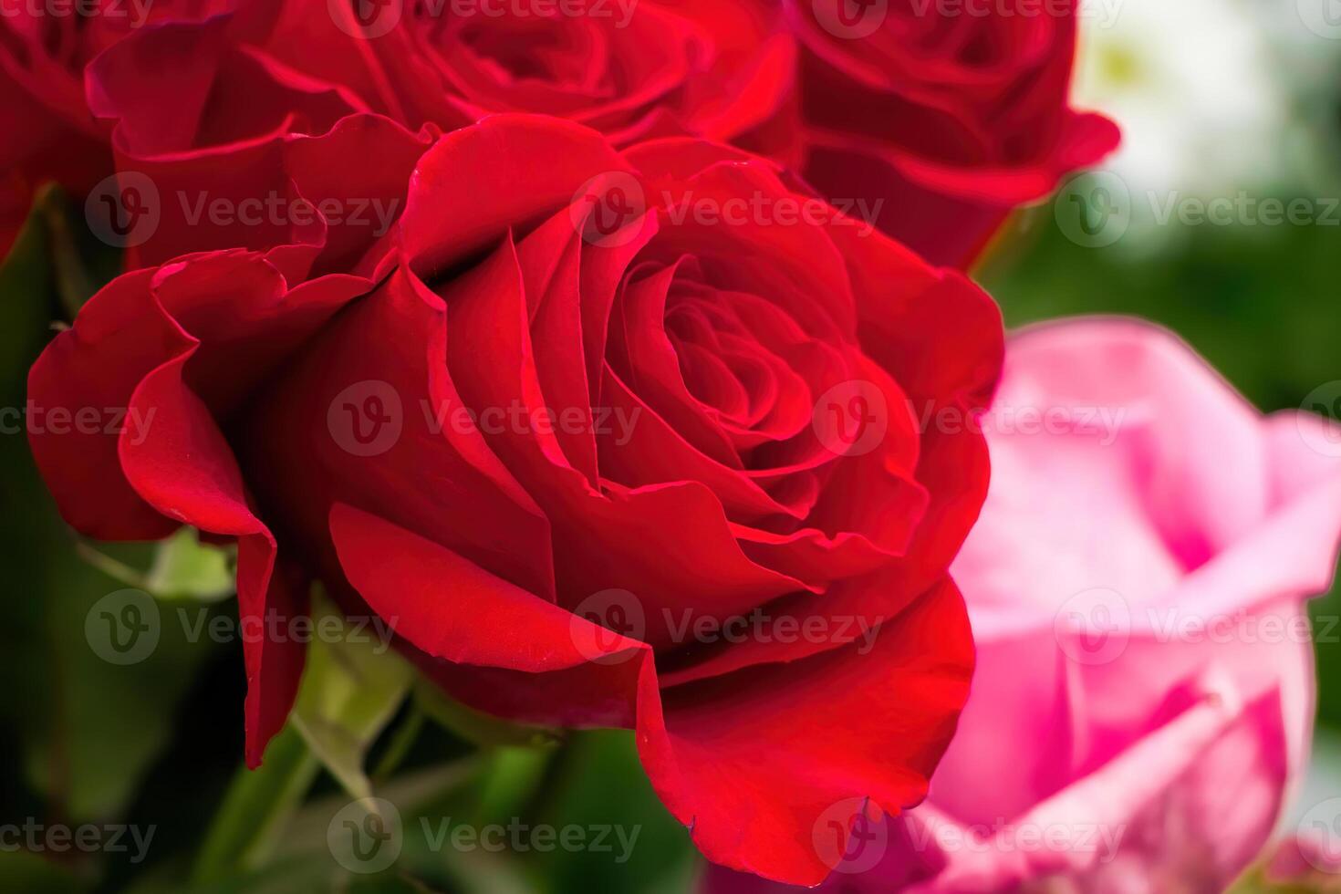 Bouquet of red roses in flower shop. photo