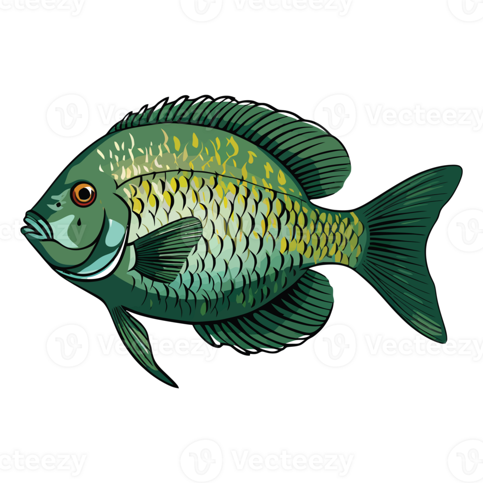 Underwater Splendor An Artistic Rendition of the Green Severum Fish AI Generative png