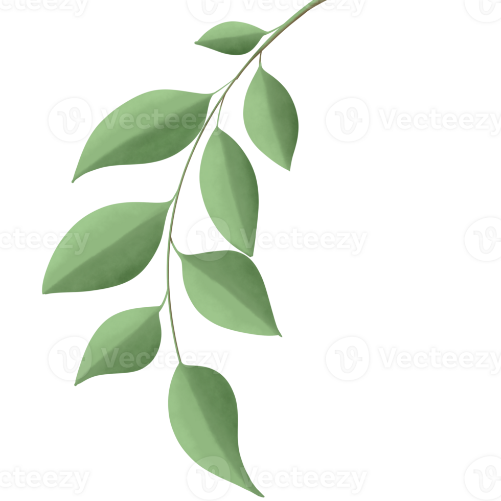 verdura elementi alberi foglie.disegnate per digitale uso decorazione, sito web, pagina e generale digitale opera png