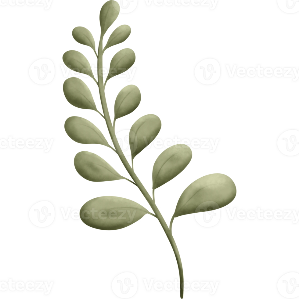 Greenery elements trees leaves.designed for digital use decoration, website, page and general digital work png