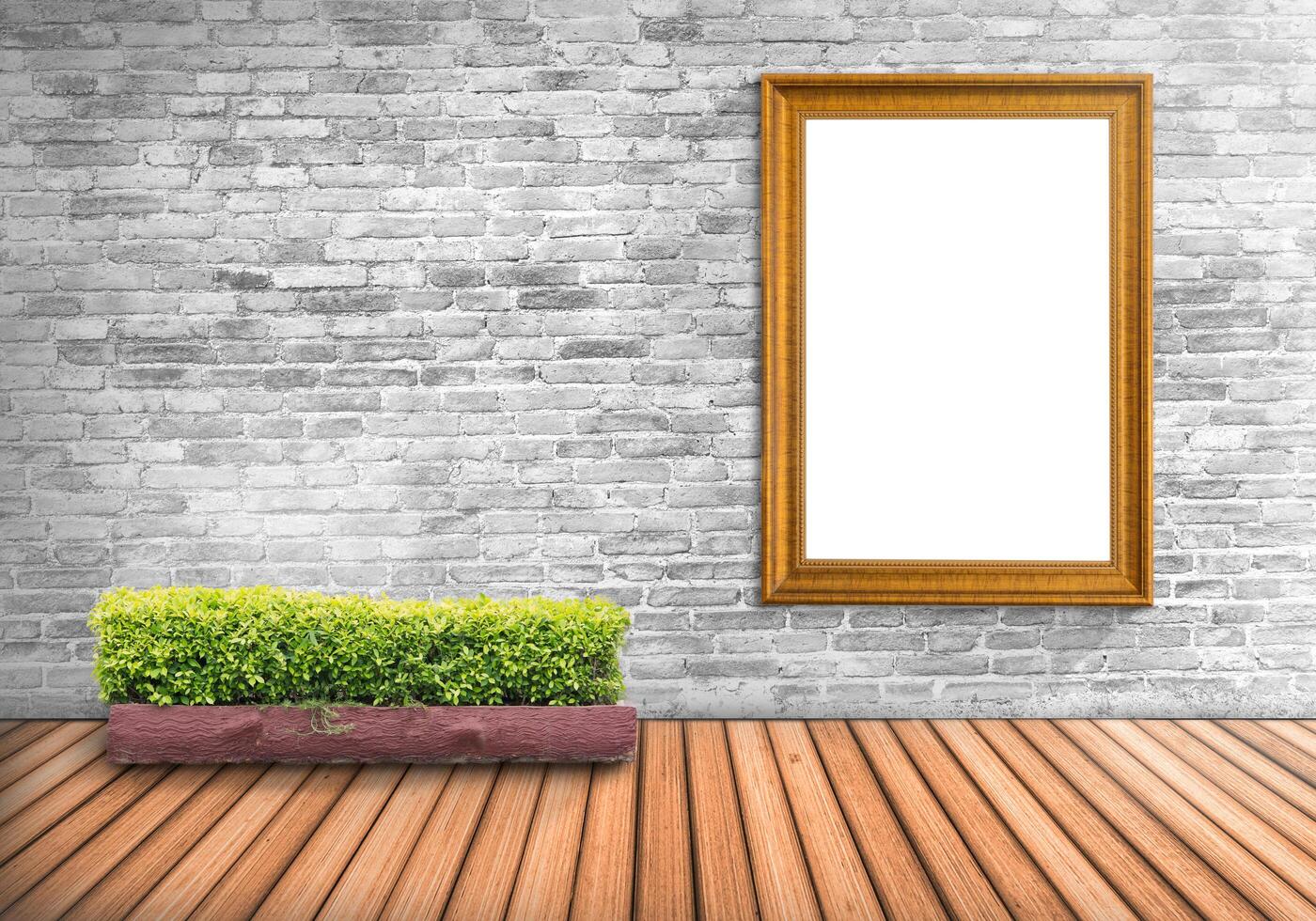 Blank frame vintage on a concrete wall with tree pot on wood floor photo