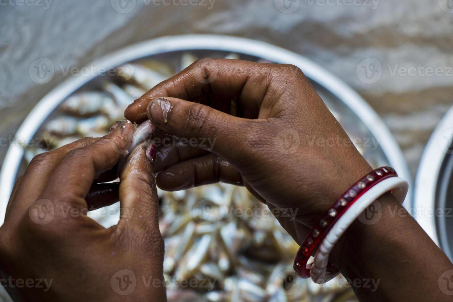 Nutritious Mola Carpet Fish photo