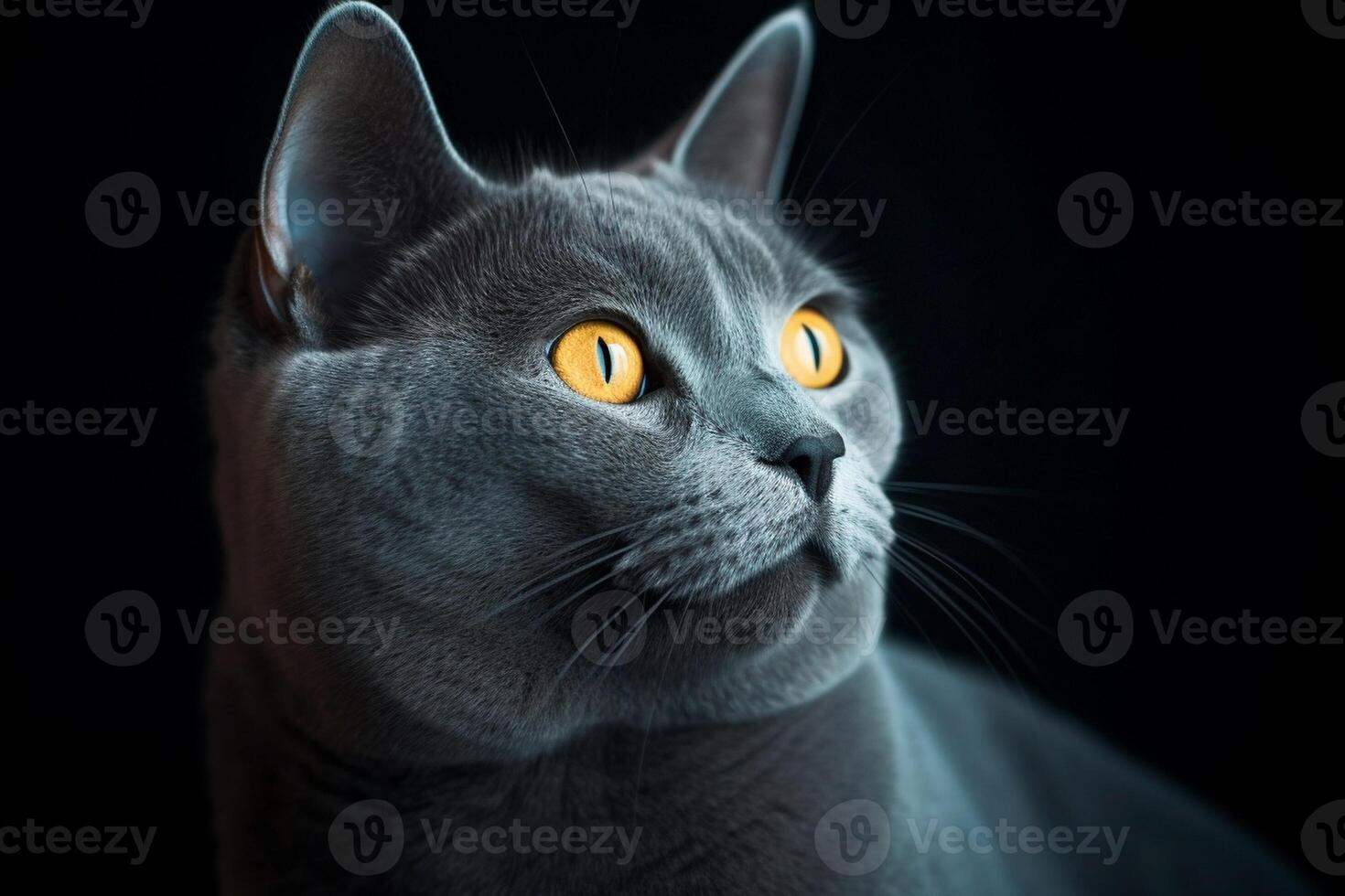 AI Generative Portrait of a cute chartreux cat photo