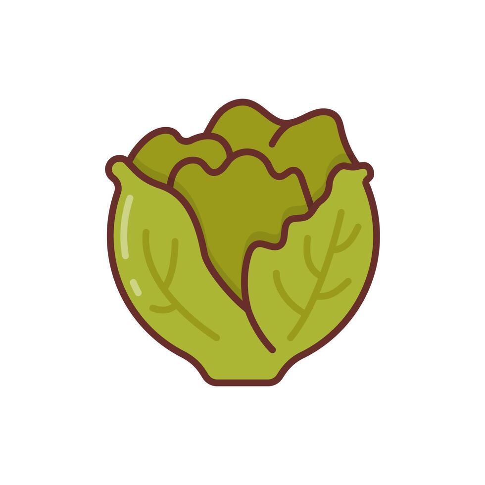 Lettuce icon in vector. Illustration vector