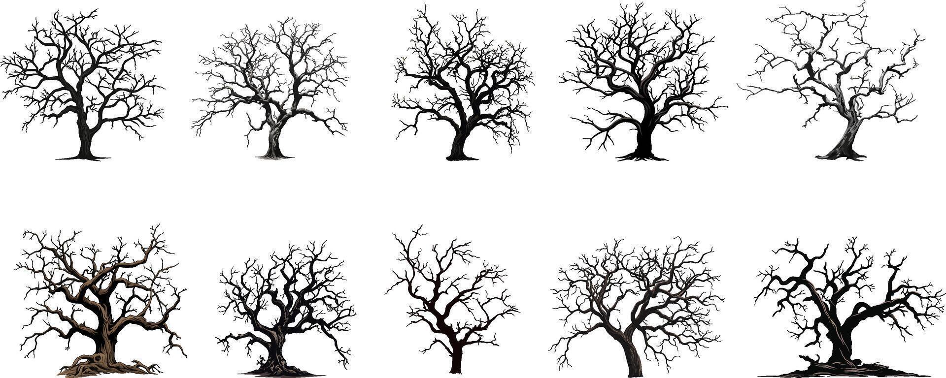 Víspera de Todos los Santos árbol arte, negro árbol, icono conjunto ilustraciones. vector