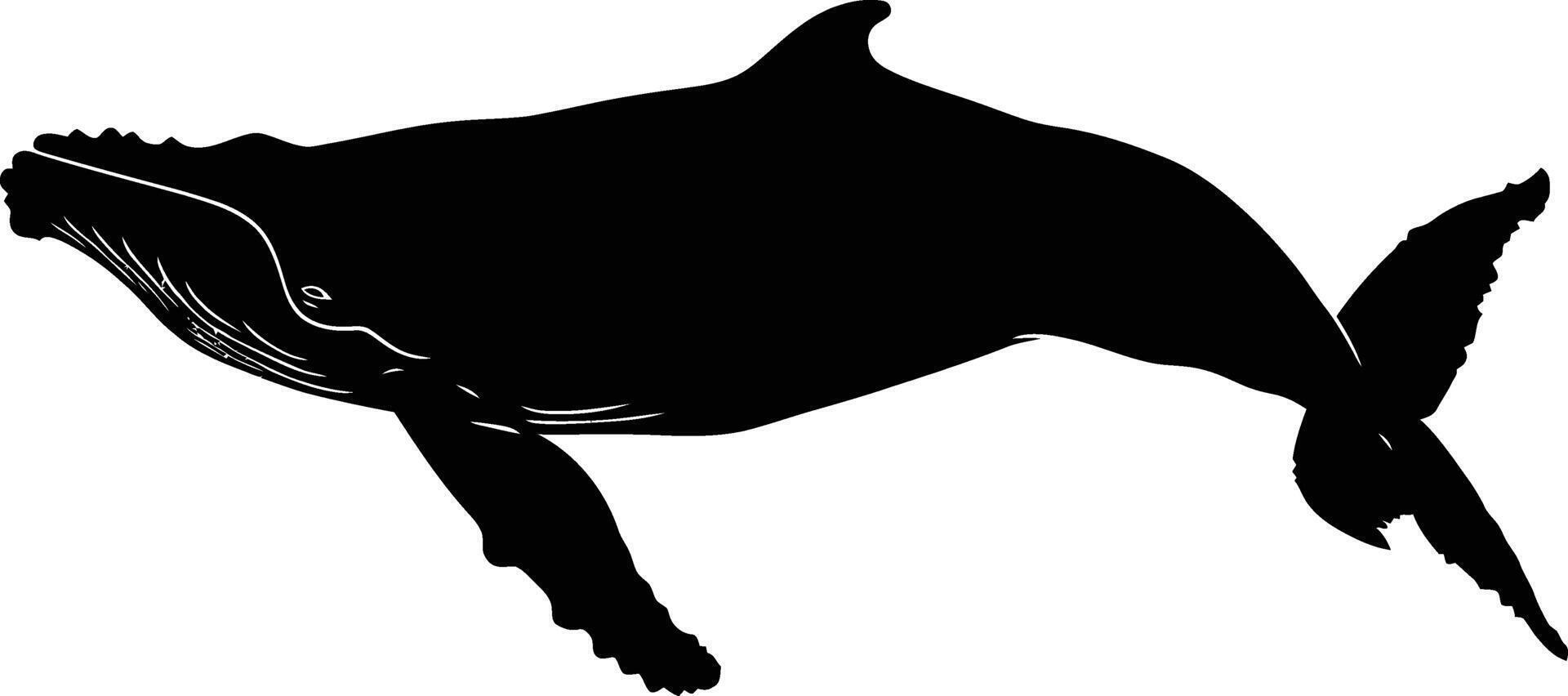 AI generated Silhouette whale black color only full body vector