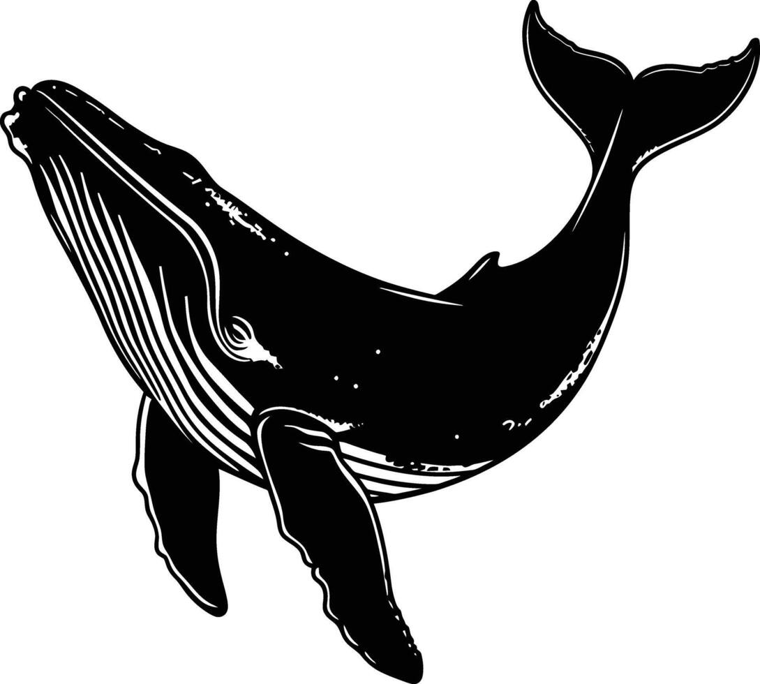 AI generated Silhouette whale black color only full body vector