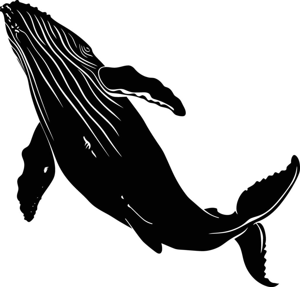 AI generated Silhouette whale black color only full body vector