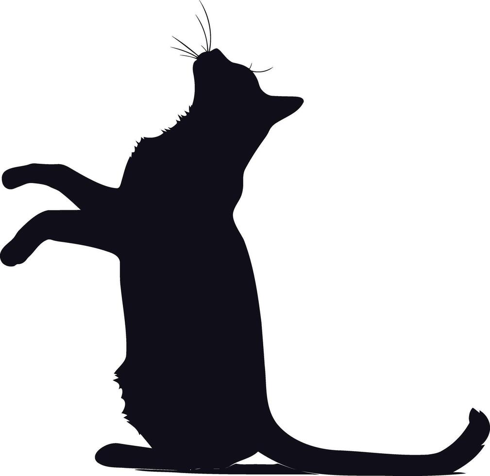 ai generado silueta gato lleno cuerpo negro color solamente vector