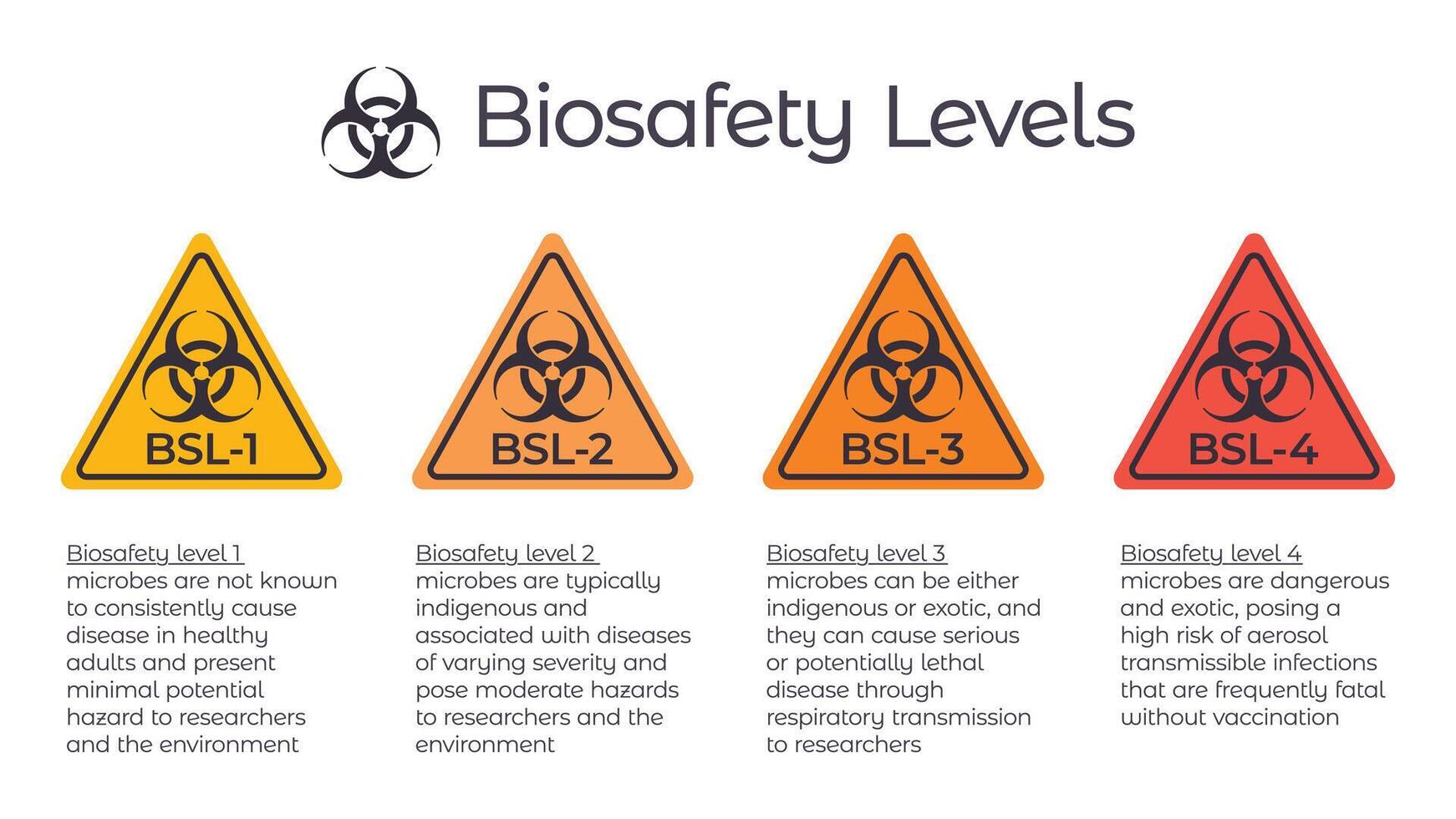 Biosafety levels BSL vector illustration infographic or laboratory safety