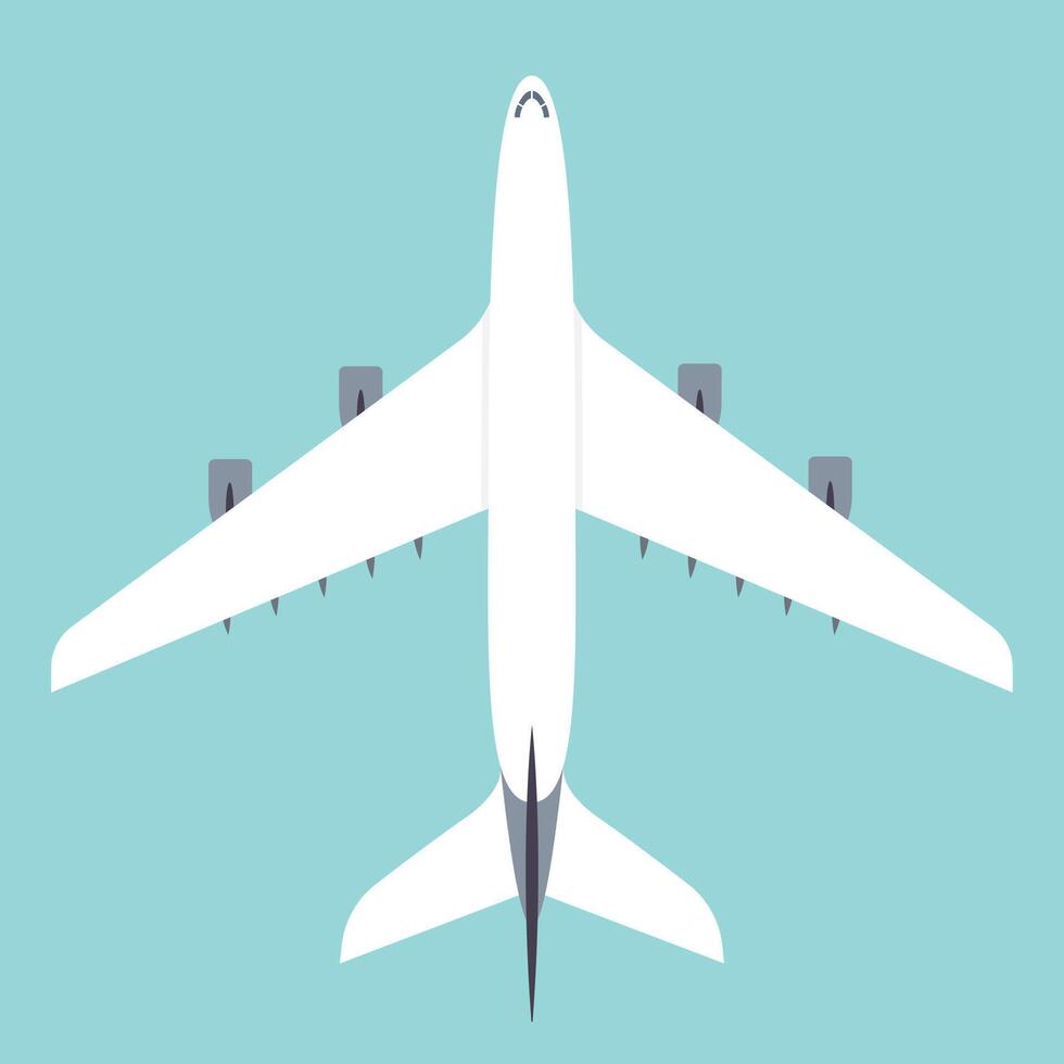 Passenger airplane isolated vector illustration graphic