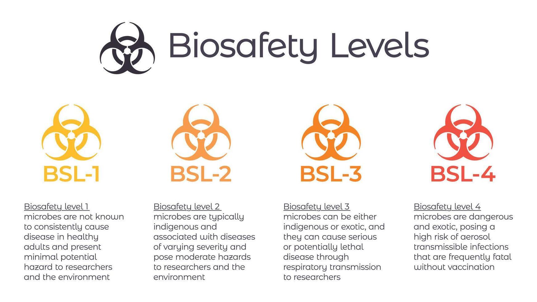 Biosafety levels BSL vector illustration infographic or laboratory safety