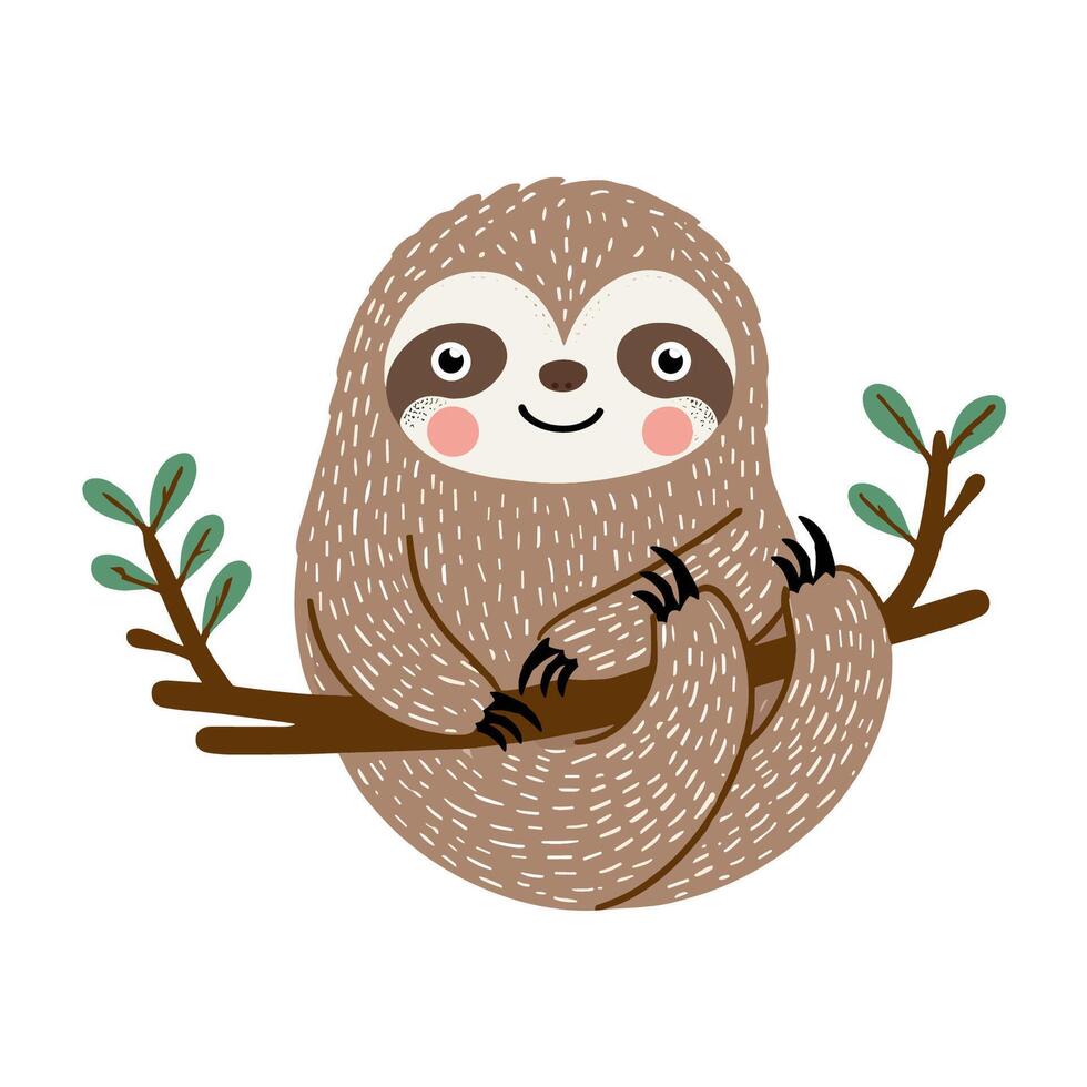 Cute sloth in a branch illustration for kids in Scandinavian or nordic style. Wild animals clipart vector