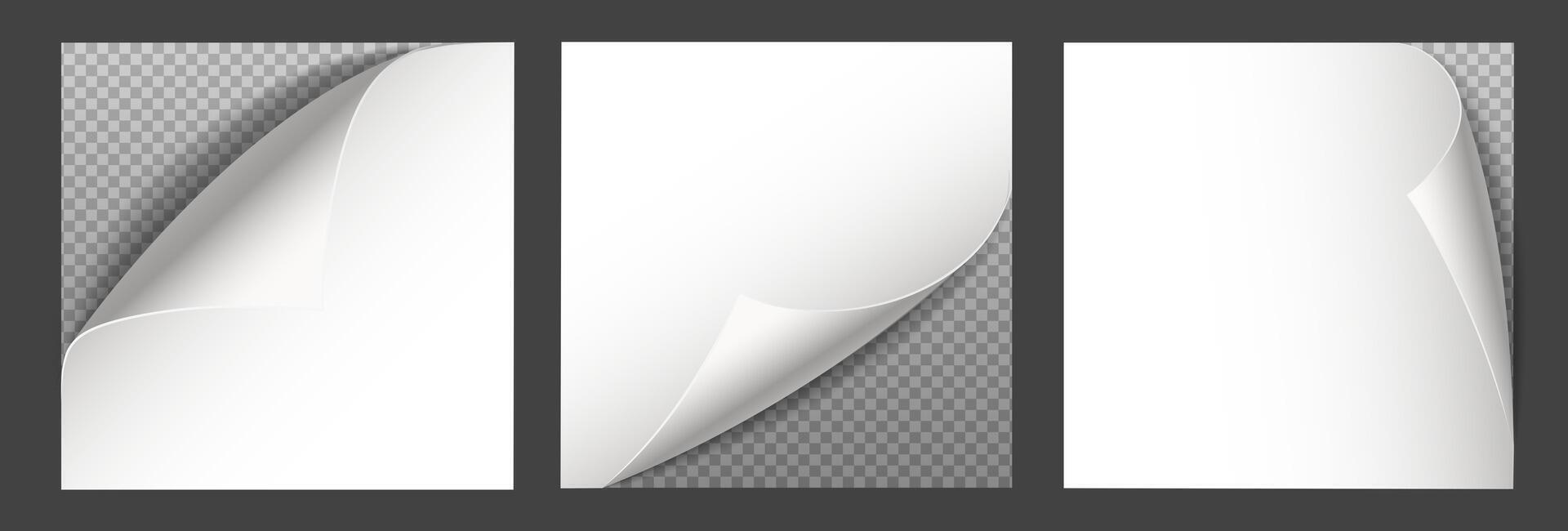 3d realistic vector illustration. Curled paper corners.