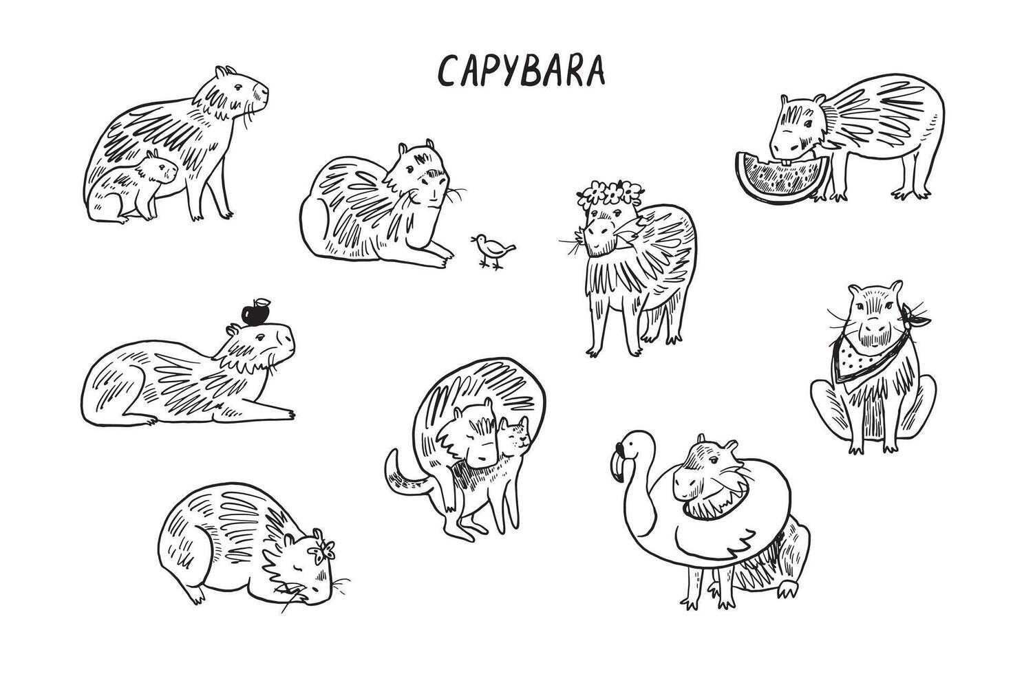 Capybara cute animal vector illustrations set.