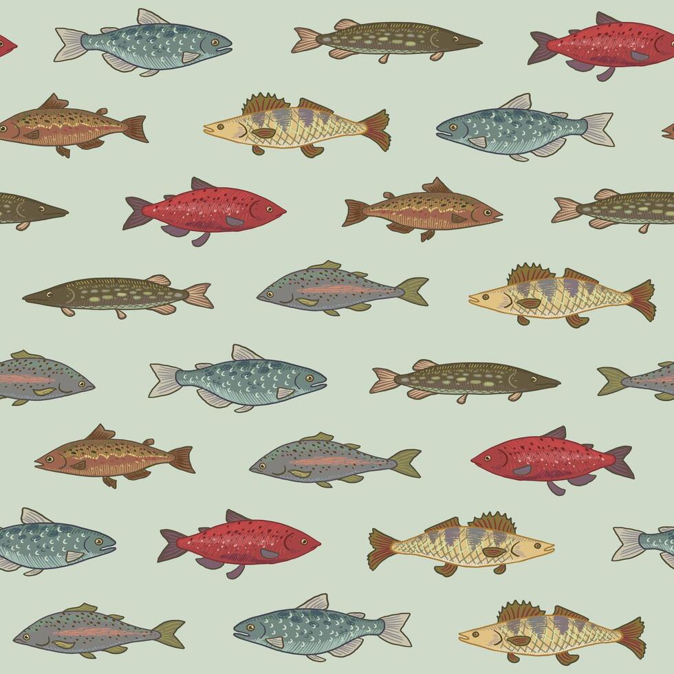 River freshwater fish vector seamless pattern.