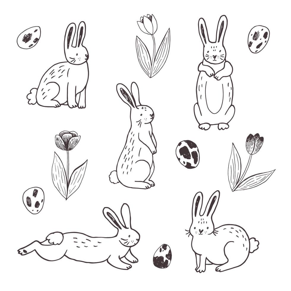 Easter rabbits, eggs and flowers vector line llustrations set.