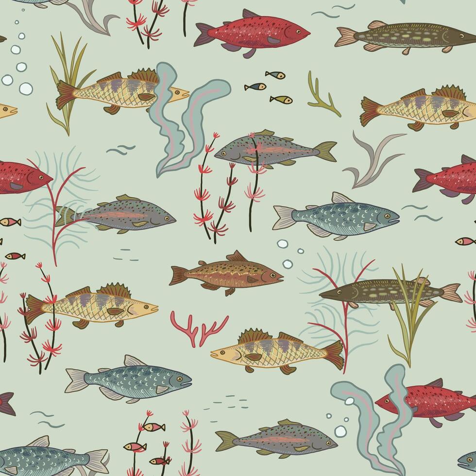 River freshwater fish vector seamless pattern.