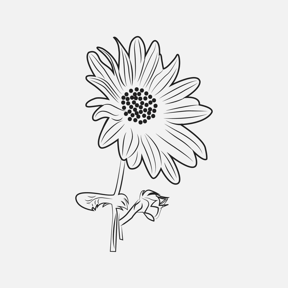 girasol dibujo bosquejo vector