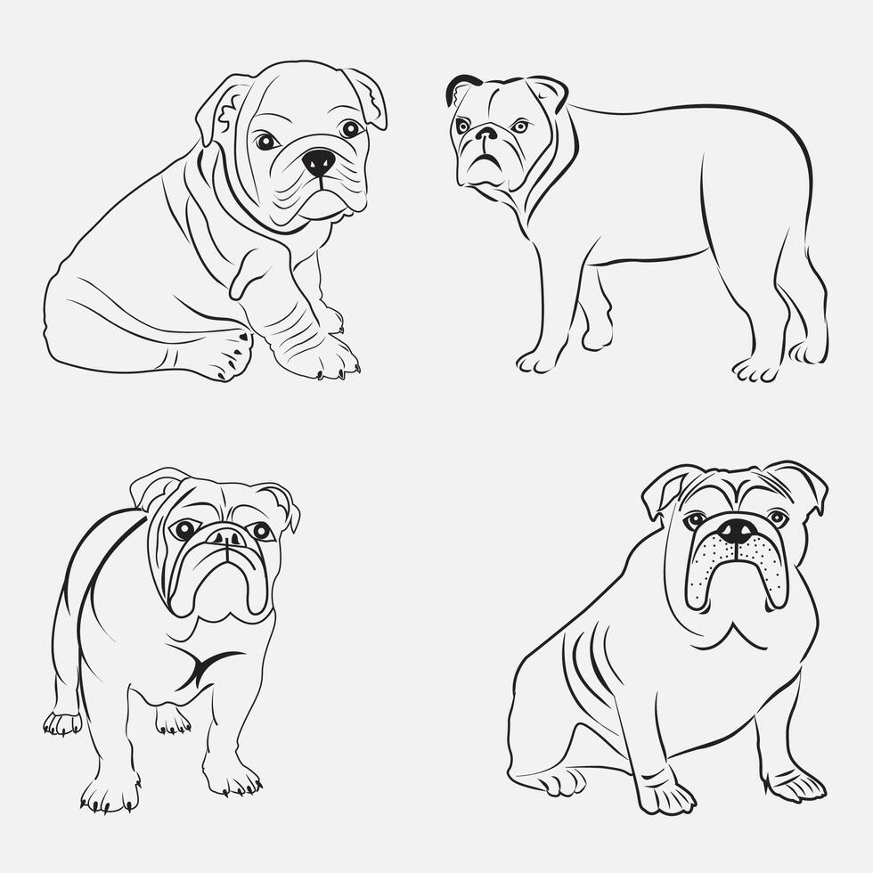 buldog dibujo bosquejo vector