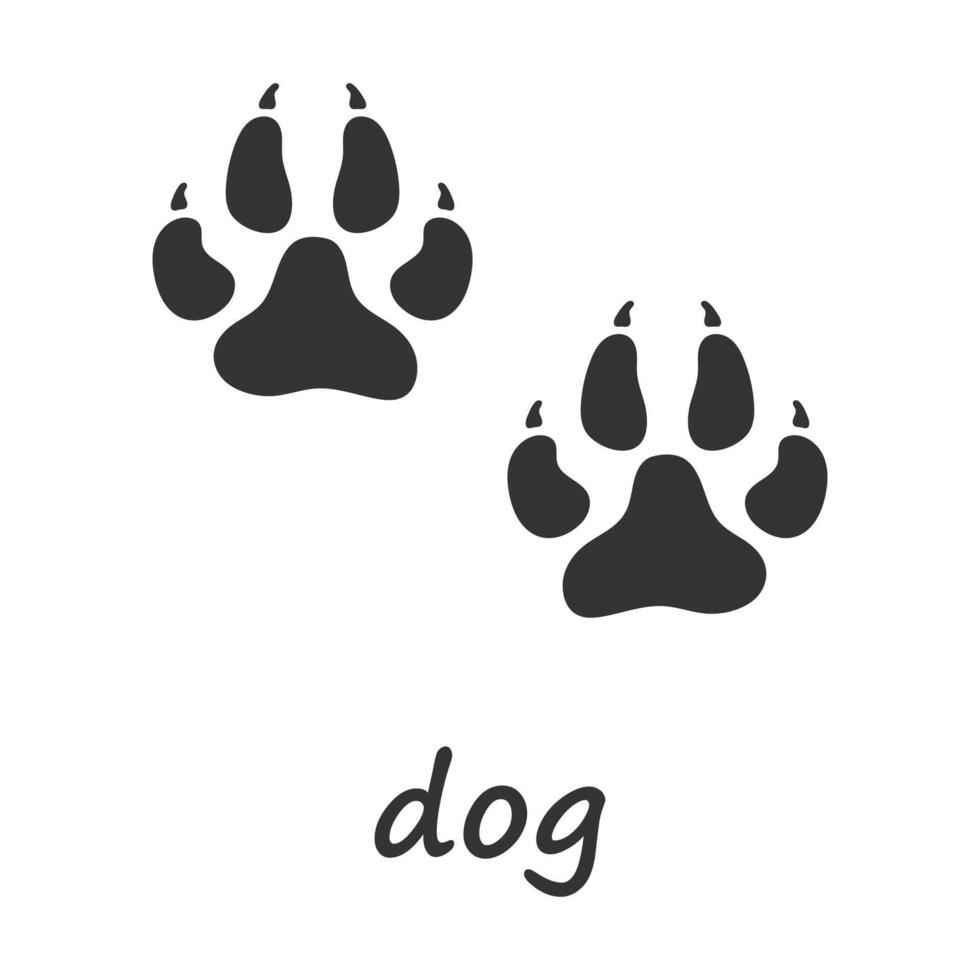 Dog paws. Dog paw print. Vector illustration.