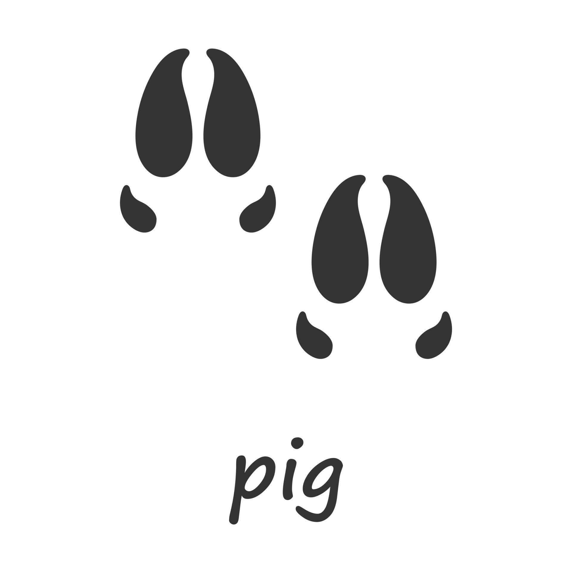 Pig hooves. A pig hoof print. Vector illustration. 37468126 Vector Art ...