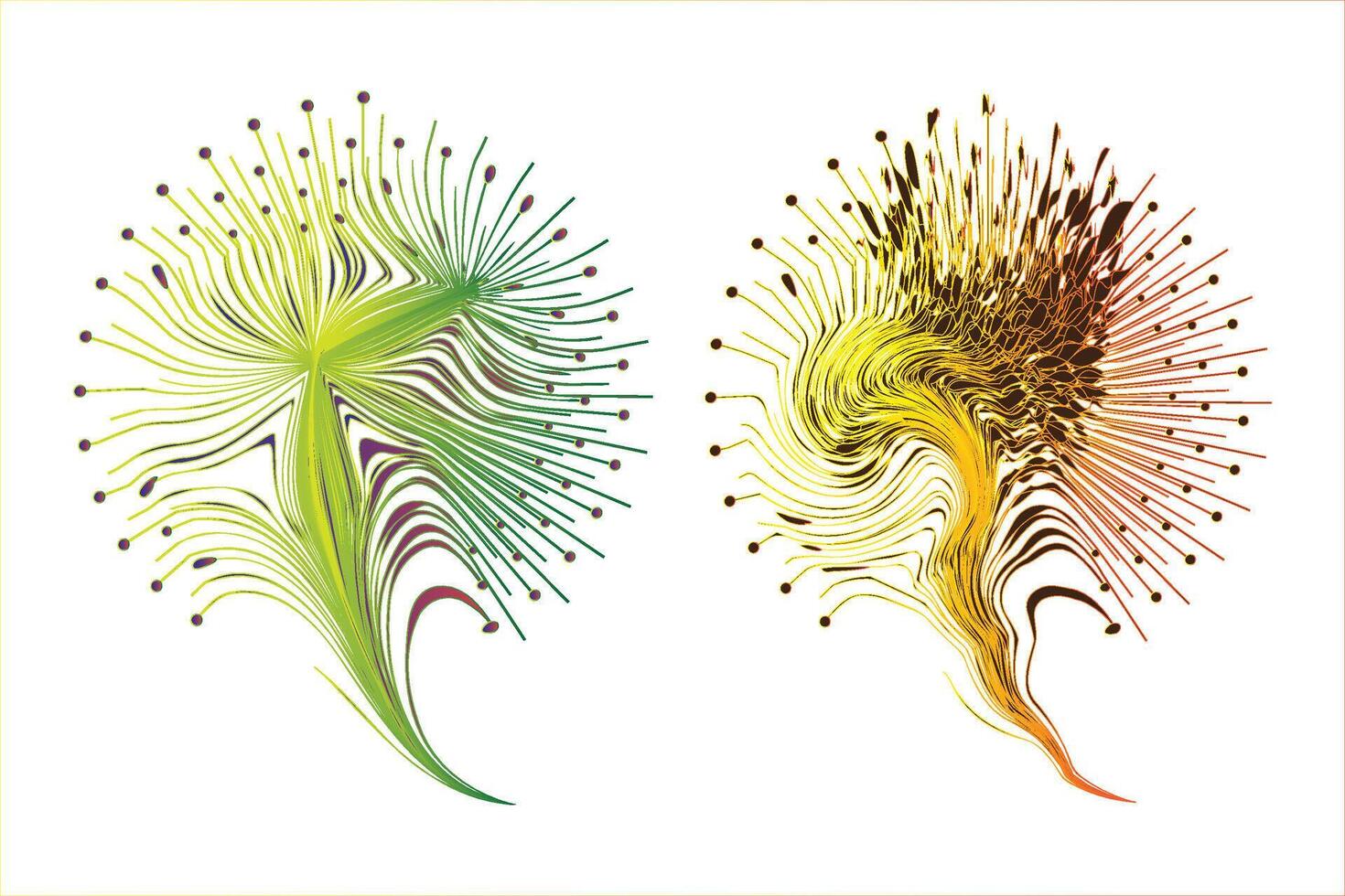 Decorative zen tangle feather boho style colorful for tattoo. vector