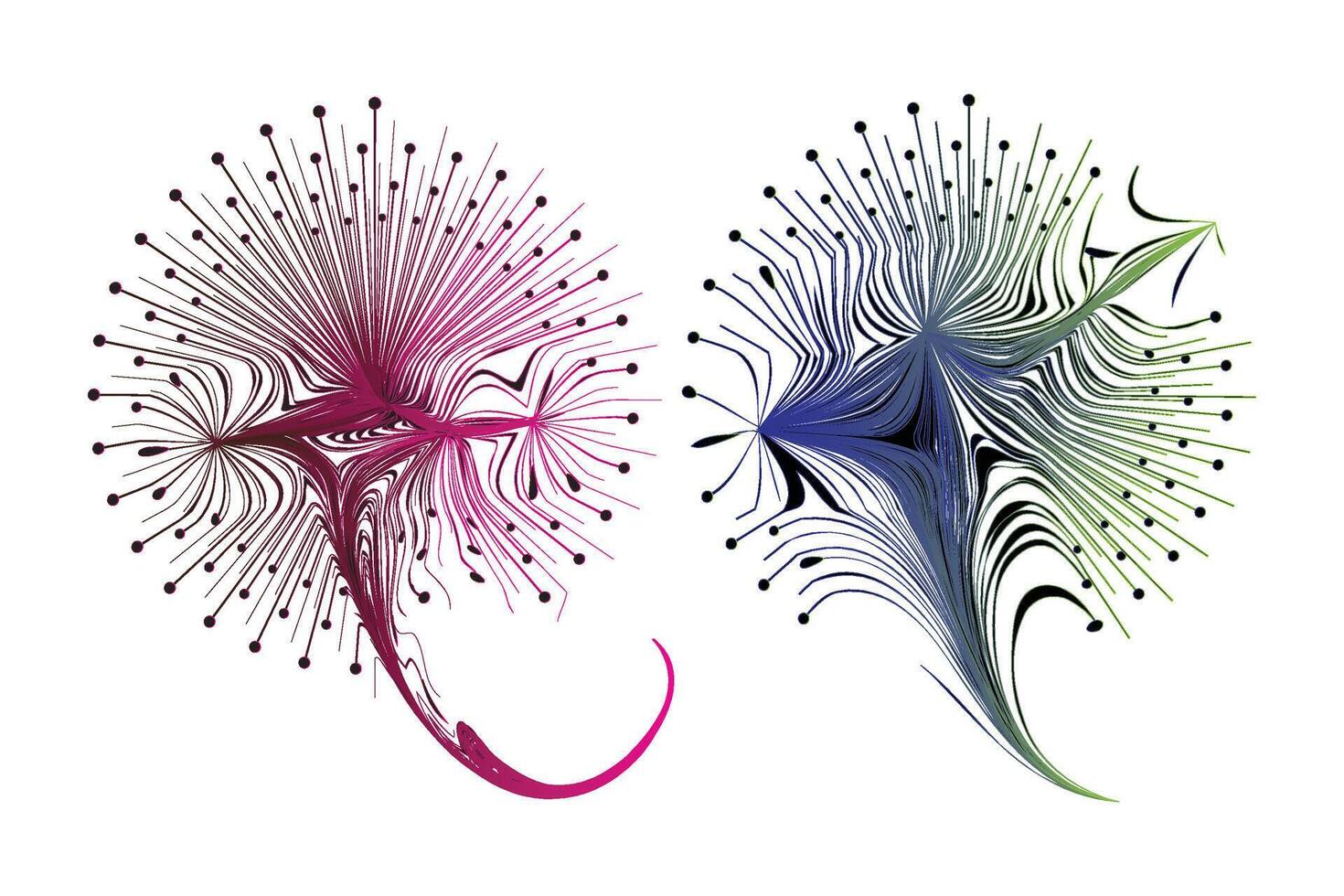 Decorative zen tangle feather boho style colorful for tattoo. vector