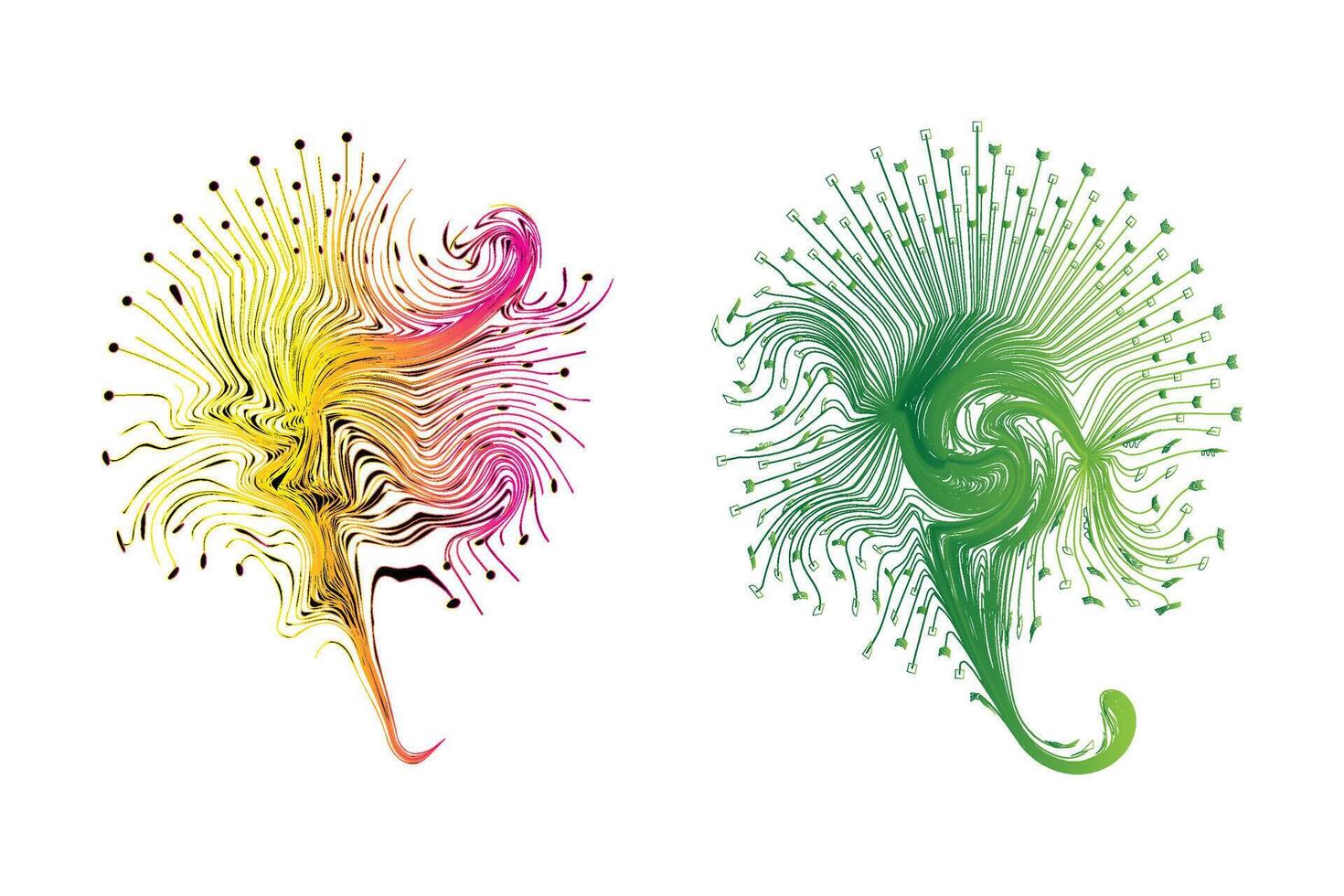 Decorative zen tangle feather boho style colorful for tattoo. vector