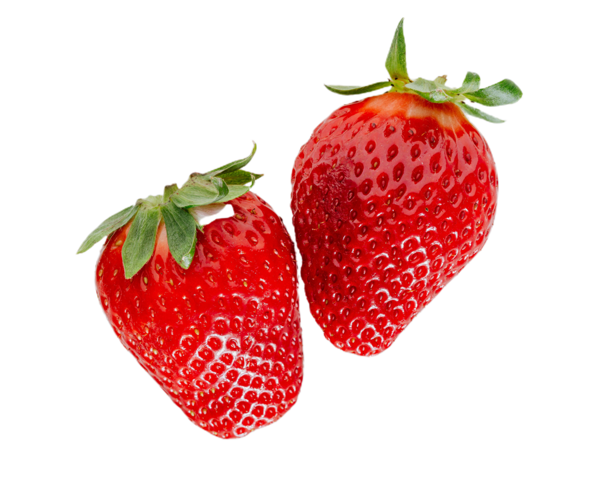 gratis imagen fresa Fruta en transparente antecedentes png