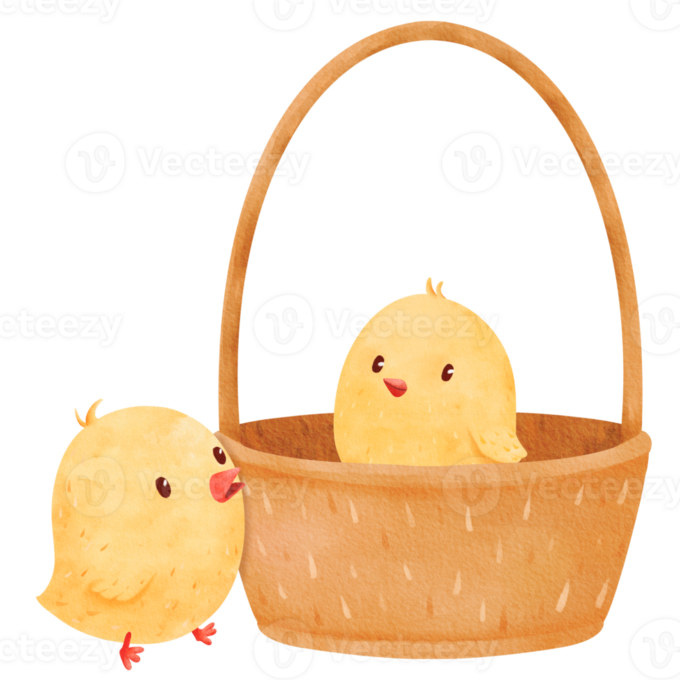 Watercolor composition showcasing two lively chicks. one frolicking inside a basket, the other outside. Cartoon-style illustration capturing the playful spirit of small yellow birds. card and print png