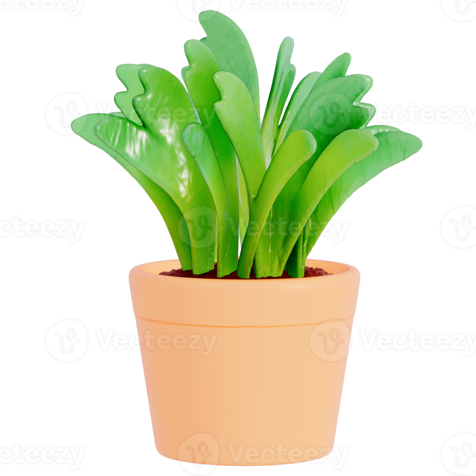 Earth day Plant on a transparent background , 3D Rendering png