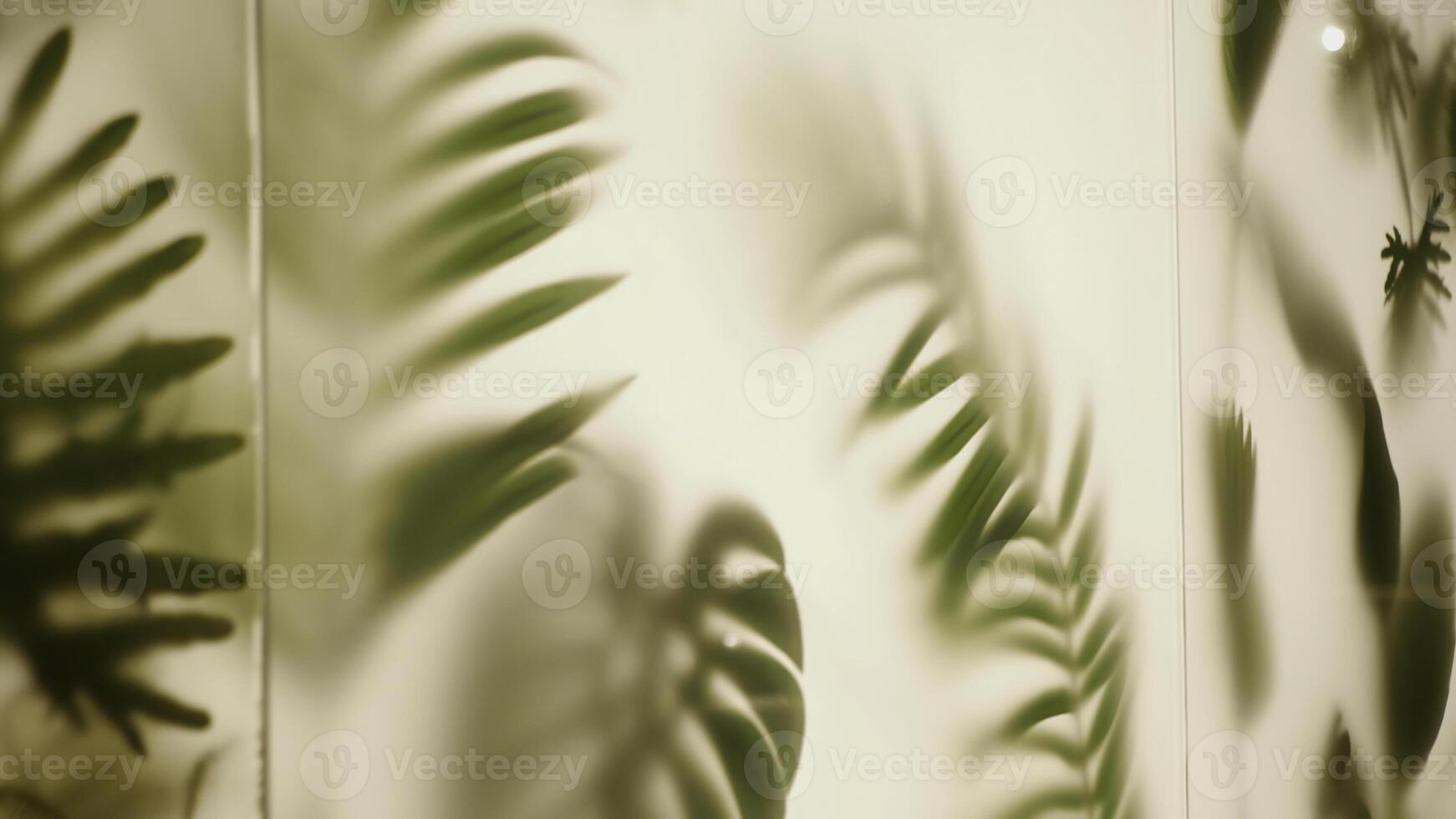 Tropical palm leaves on white wall background. Stock footage. Wallpaper with beautiful green leaves. photo