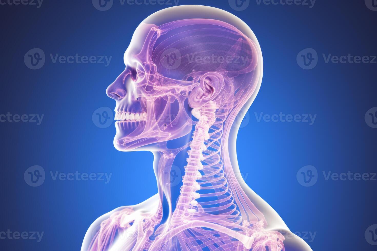 AI Generated Human body X-ray backbone organism neurosurgery medicine technology inflammation radiology cervical bones brain connections examination joint systems science patient diagnostic anatomy photo
