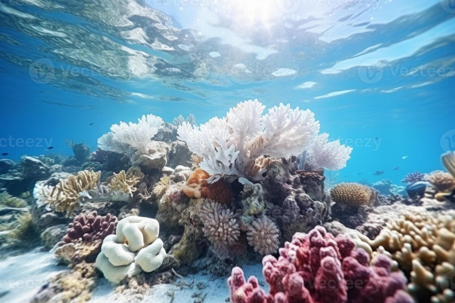 ai generado submarino hermosa vistoso bailando arrecife anémona grupo coral tropical animal pez anémona naturaleza sal agua pescado tanque acuario. ecología tubo respirador buceo ecosistema ambiental salvar planeta foto