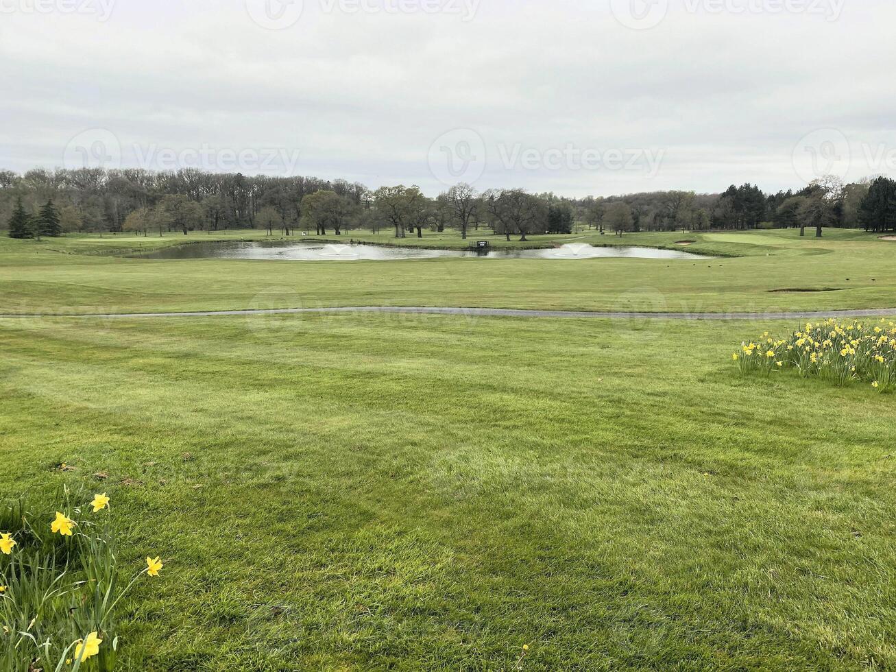 A view of the Cheshire Countryside at Carden Park photo