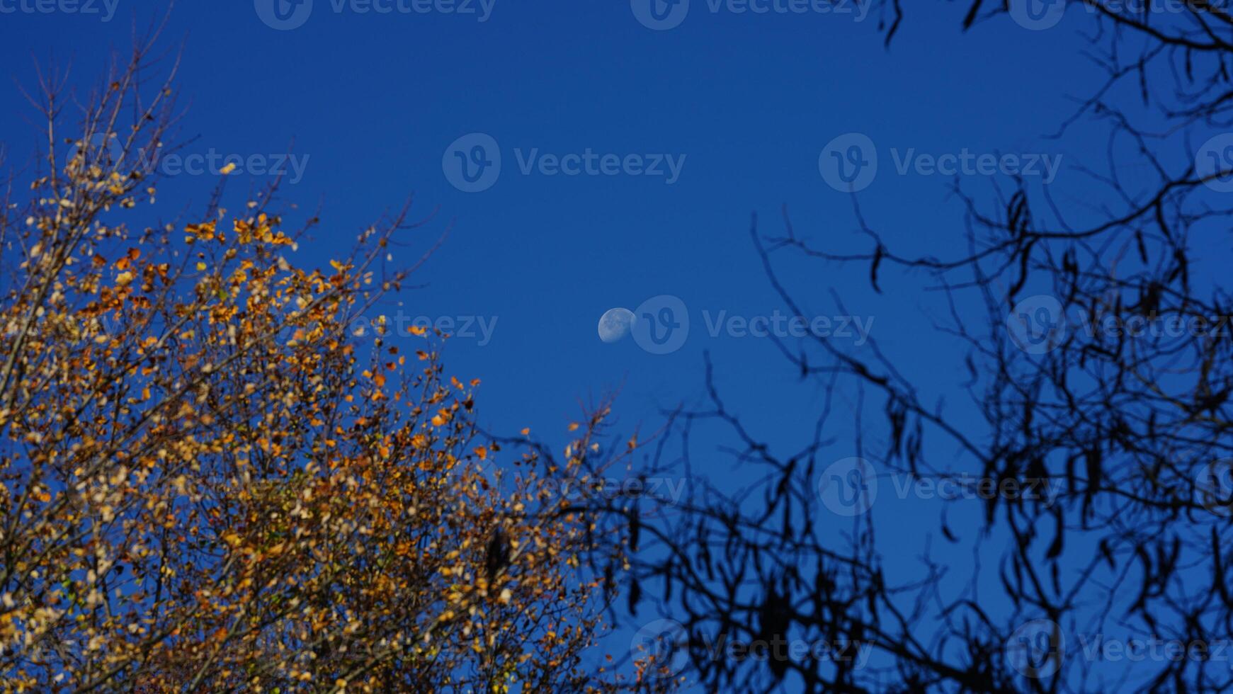 The blue sky view with the white moon and the clear blue sky as background photo