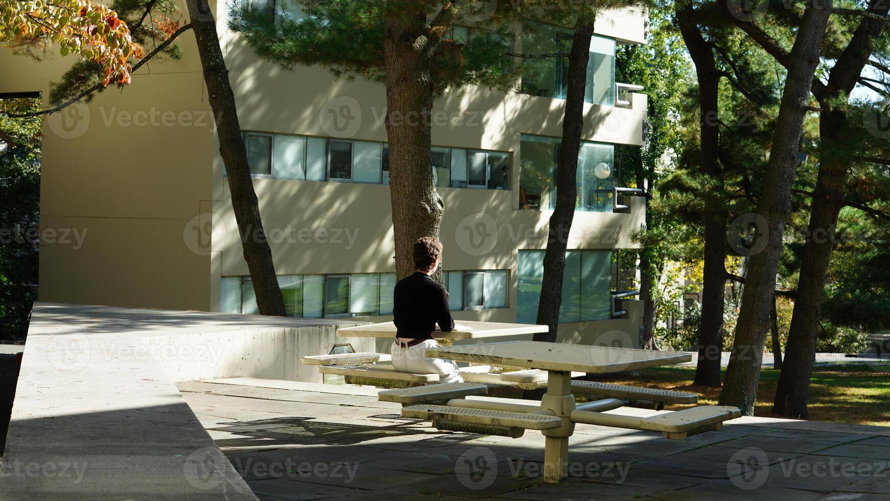 The university buildings view with warm sunlight on it  in the campus photo
