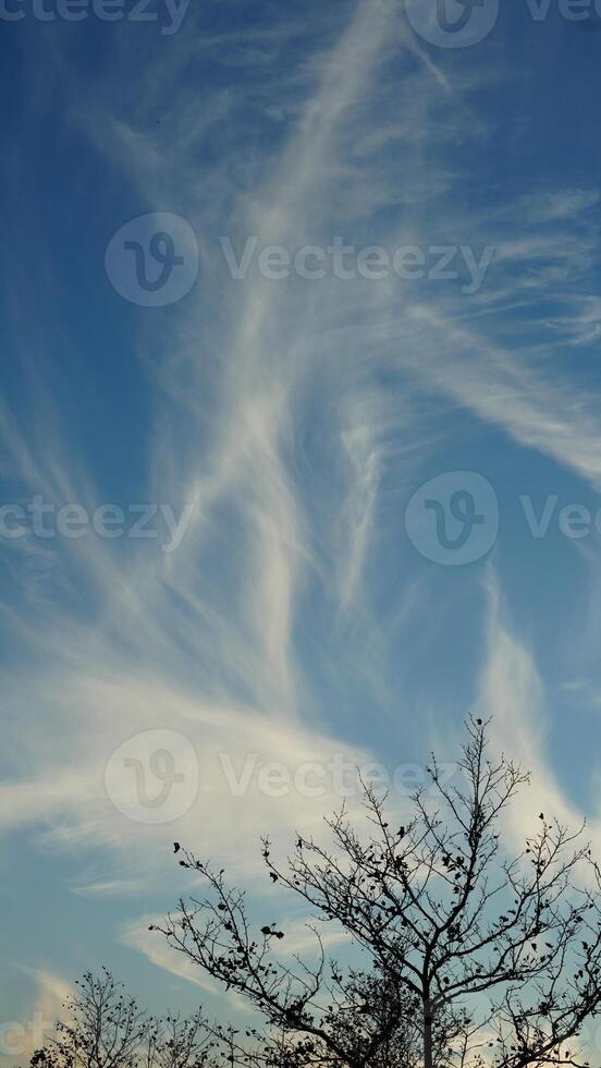The beautiful sunset view with the colorful clouds and sky as background photo