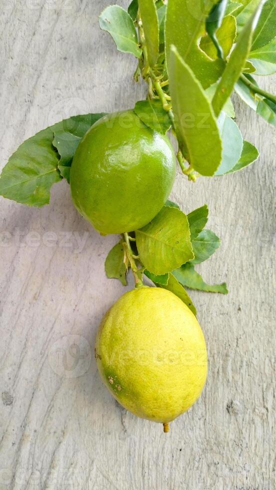 Lemon fruit with green leaf. Natural Lemon fruit levitate. Fresh yellow ripe lemons. Ripe lemon fruit on branch with green leaves photo